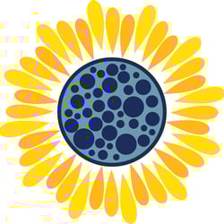 sassy sunflower logo